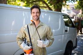 Best Residential Pest Control  in Johnson City, TN